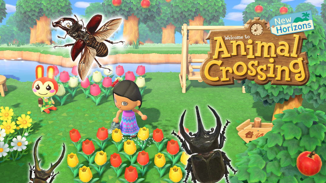 Auch in Animal Crossing New Horizons hat der Sommer Einzug gefunden. Dabei kann man durch die Insekten im Juli zum Sterni-Millionär werden.