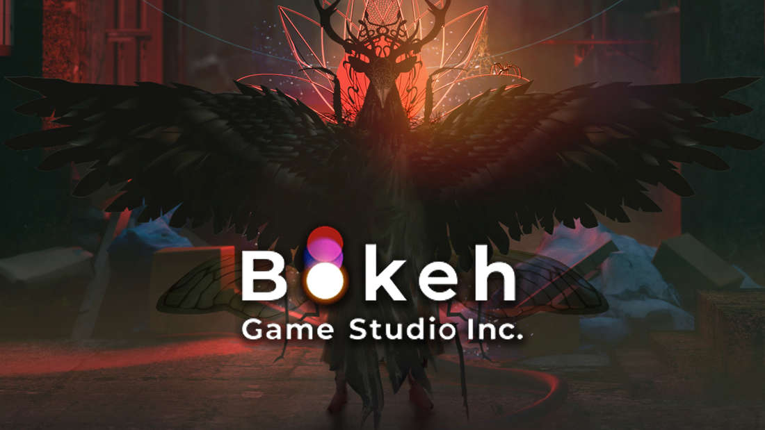 Bokeh Studio Logo Konzeptbild Vogelkreatur