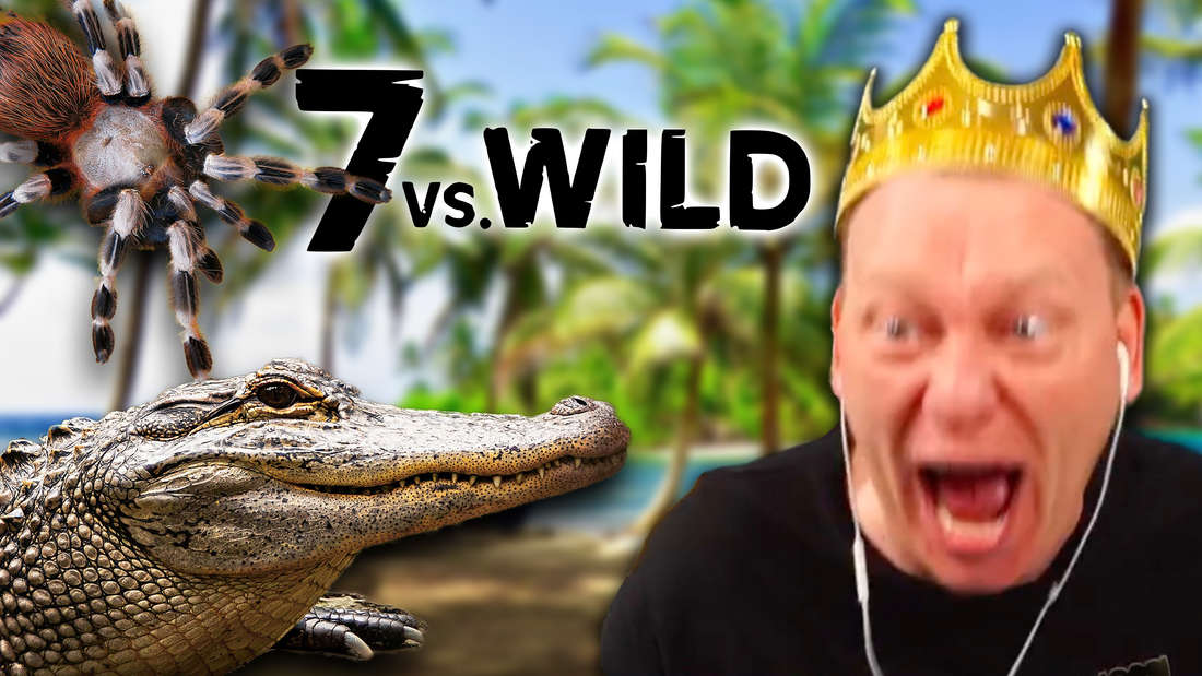 Knossi am Ausrasten. Daneben eine Spinne und ein Krokodil sowie das Logo von 7 vs Wild