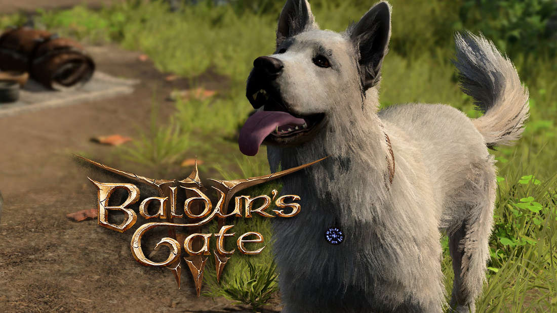 Baldur‘s Gate weißer Hund Kratzer