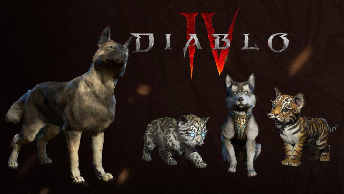 Diablo 4 Haustiere Teaserbild