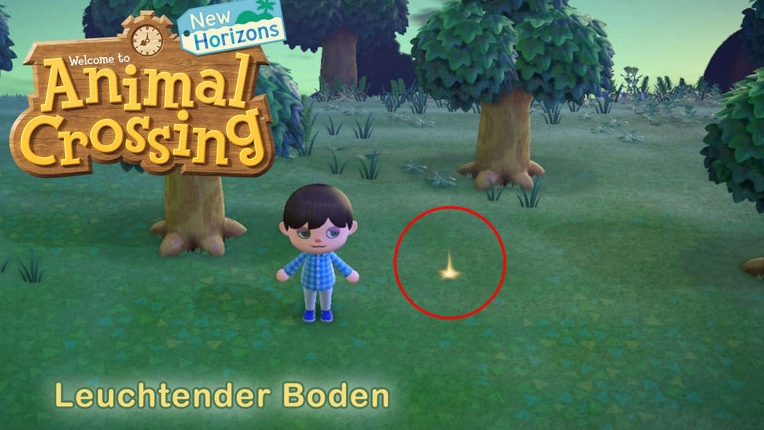 Der leuchtende Boden in Animal Crossing New Horizons beinhaltet mehr als nur eine Belohnung. Ein Dataminer entdeckte jetzt Erstaunliches.